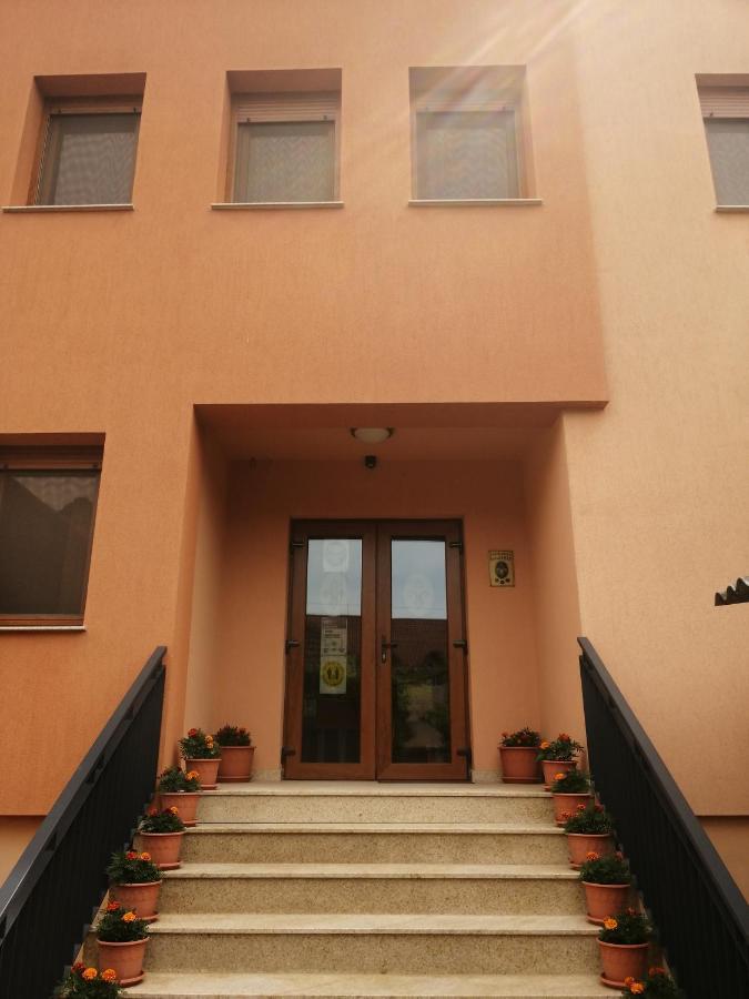 Pensiunea Damiris Băile Felix Esterno foto