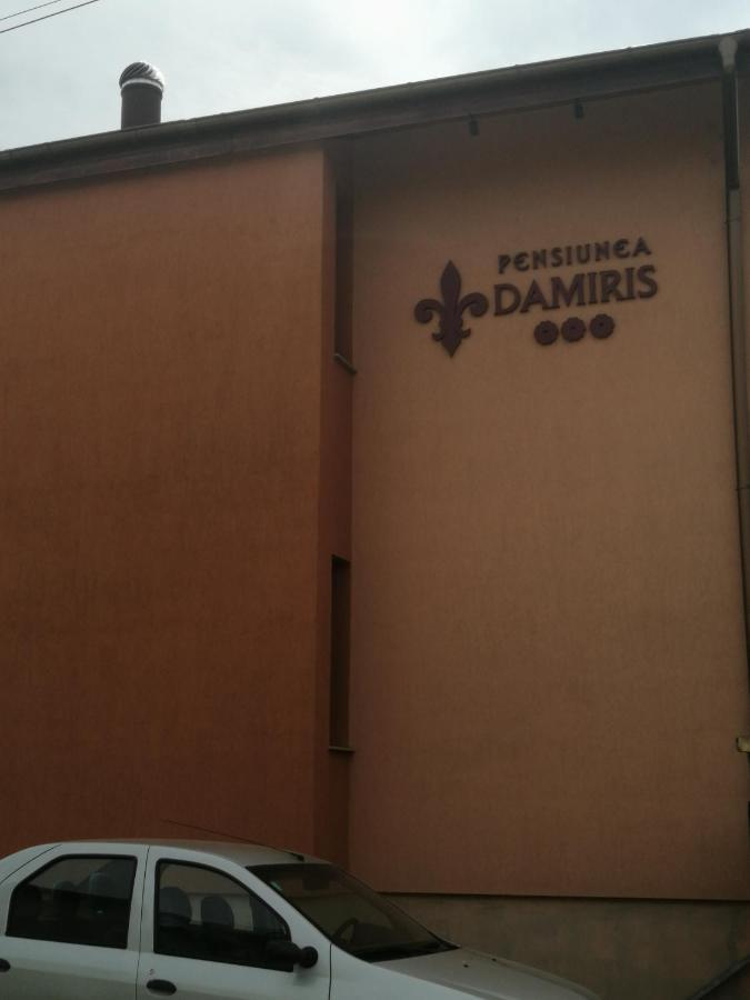 Pensiunea Damiris Băile Felix Esterno foto