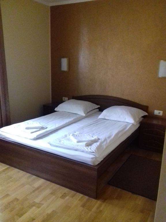Pensiunea Damiris Băile Felix Esterno foto