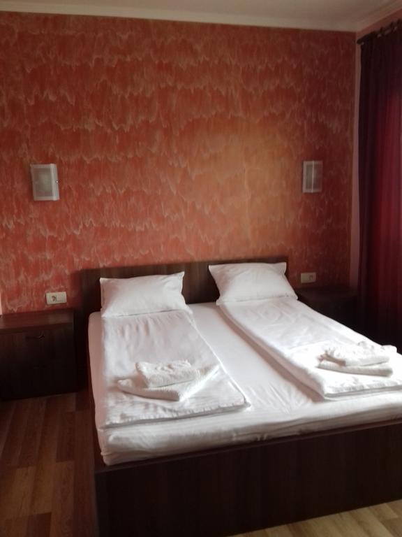 Pensiunea Damiris Băile Felix Esterno foto