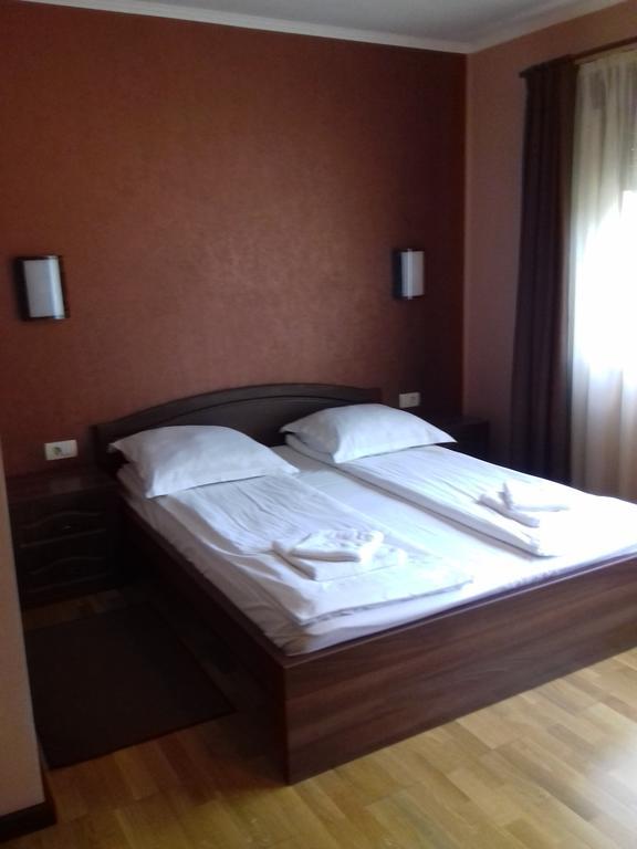 Pensiunea Damiris Băile Felix Esterno foto